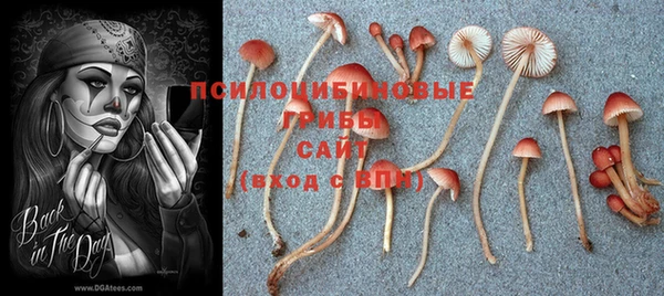 MDMA Premium VHQ Заволжск