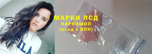 PSILOCYBIN Иннополис