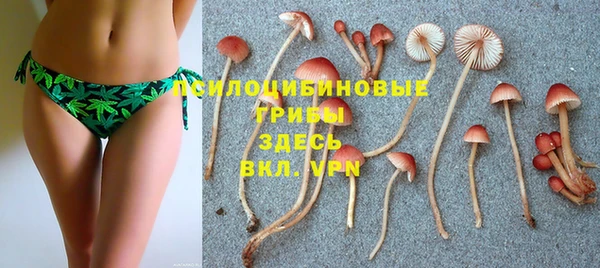 стафф Инсар