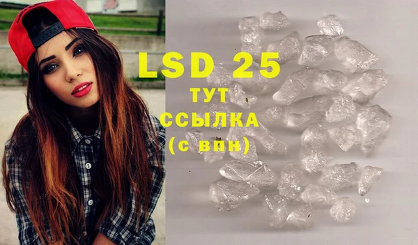 PSILOCYBIN Иннополис